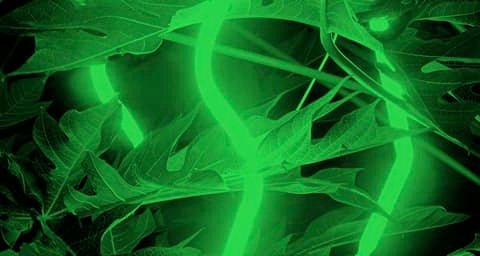 Green glowing neon tube among tropical leaves, image for the Dayglo papers by Fischer Papier