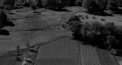 Dark aerial view of fields and meadows for Klaus Leuenberger Speisewerk