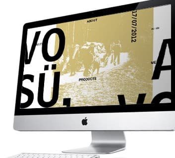 Roger Stüssi website with large black type on gold, shown on a desktop screen
