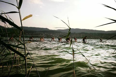 View through reeds of a group practising SUP yoga on the lake