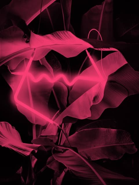 Dayglo poster for Fischer Papier: pink neon tube among tropical leaves, portrait format